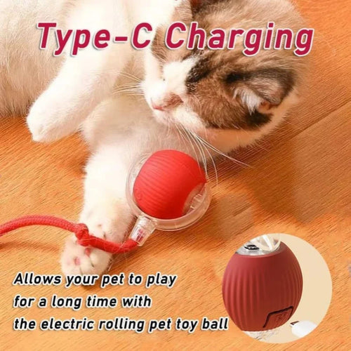 Rechargeable Automatic Rolling Pet Ball — Interactive Plush Tail Toy for Cats & Small Dogs